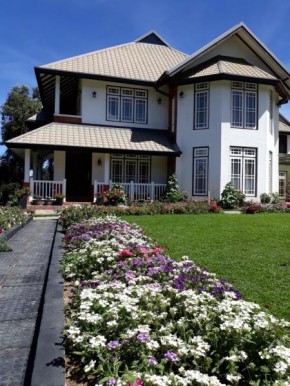  The Hill Town Cottage  Hawaeliya